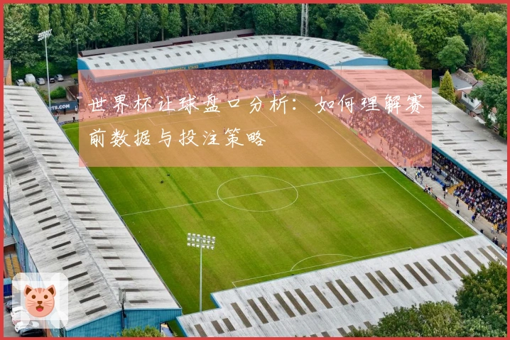 世界杯让球盘口分析：如何理解赛前数据与投注策略