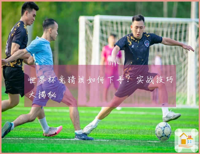 世界杯竞猜该如何下手？实战技巧大揭秘