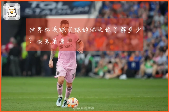世界杯滚球买球的玩法你了解多少？快来看看！