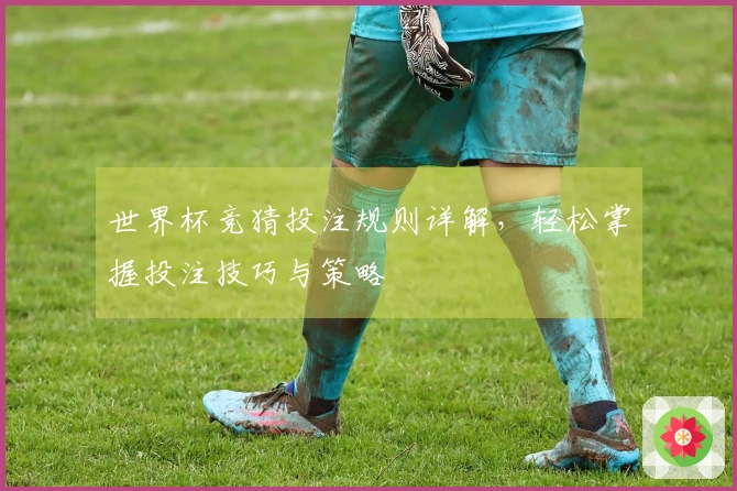 世界杯竞猜投注规则详解，轻松掌握投注技巧与策略