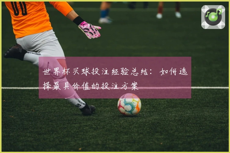世界杯买球投注经验总结：如何选择最具价值的投注方案