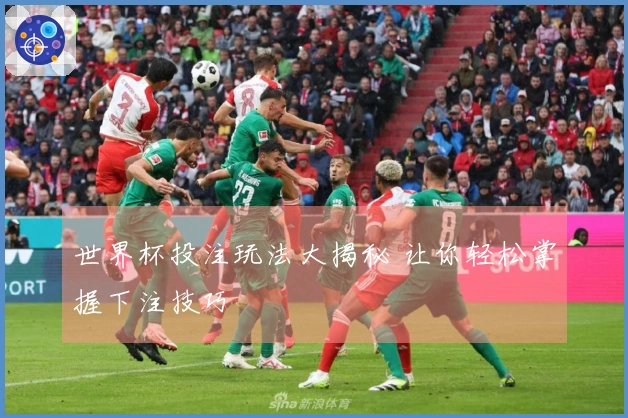 世界杯投注玩法大揭秘 让你轻松掌握下注技巧