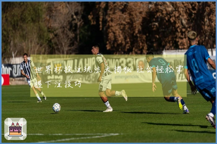 世界杯投注玩法大揭秘 让你轻松掌握下注技巧